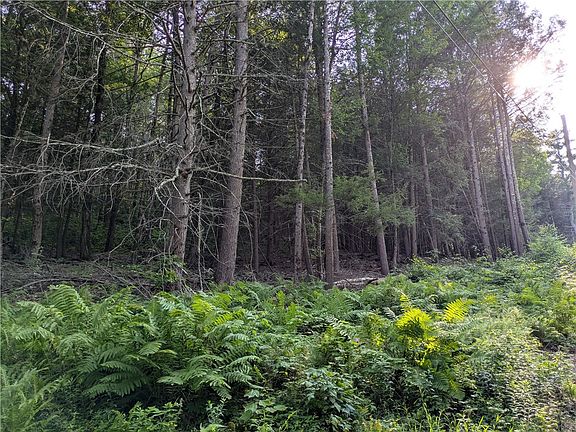 2nd image of LOT 29 Peters Ln