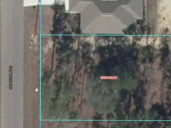 NE 150TH AVENUE, WILLISTON, FL 32696