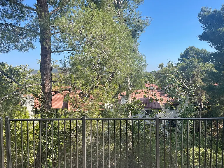 3117 Avenida Topanga — Photo 3
