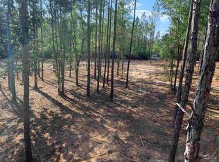 LOT 4 S Wallace Lake Rd #4, Milton, FL 32571
