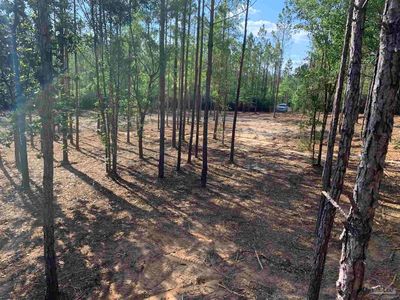 LOT 4 S Wallace Lake Rd #4, Milton, FL, 32571