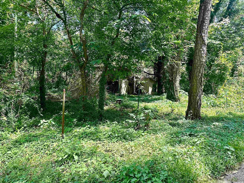 2nd image of 102 Walnut Rd