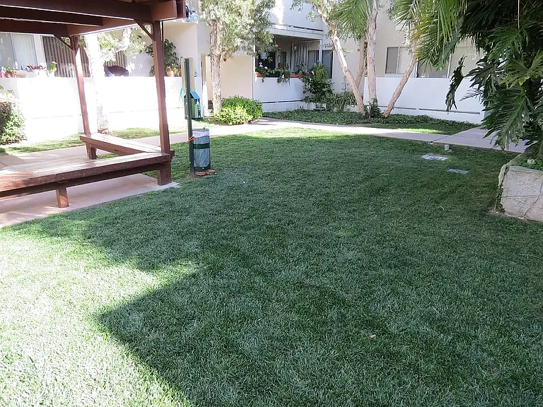 Pet Play Area