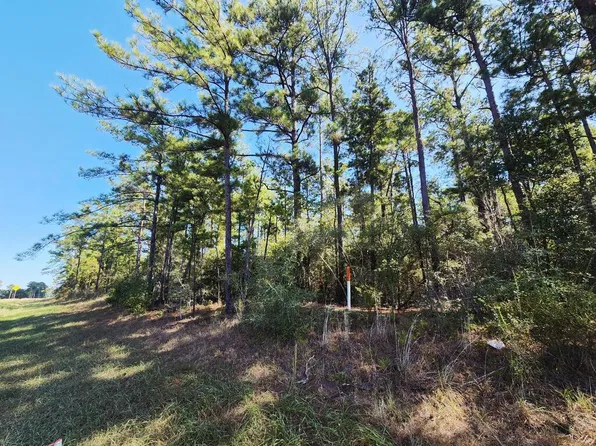 Pid 106057 Hwy #87-N, Newton, TX 75966