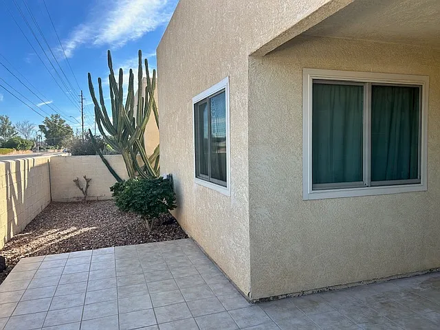 Back yard facing east. Mexican Bird of Paradise and Midnight Queen cacti