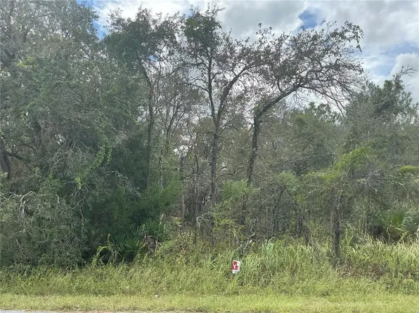 11434 Poorwill Ave #4, Brooksville, FL 34614