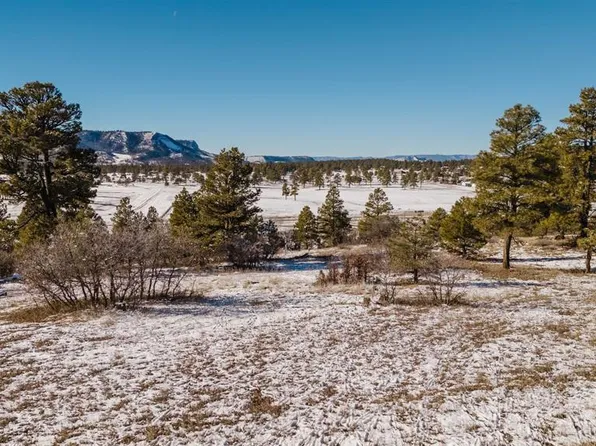 234 Prospect Boulevard, Pagosa Springs, CO 81147