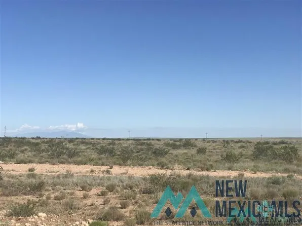 E Morgan Rd, Hagerman, NM 88232