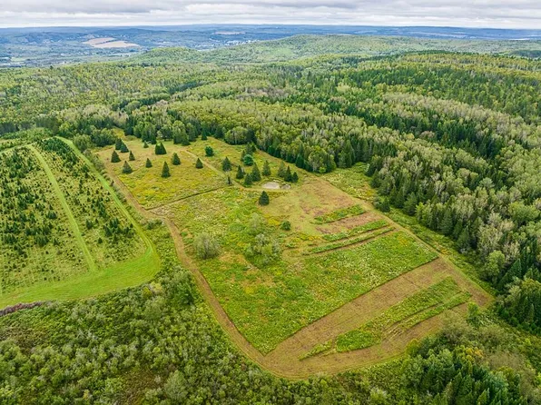 Map 23 Lot 5 Grivois Road, Grand Isle, ME 04746