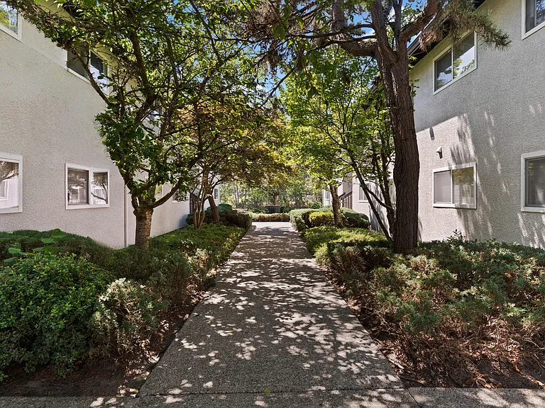 Peaceful, tree-lined walkways connect the apartment buildings at Palisades Apartments in Tacoma.