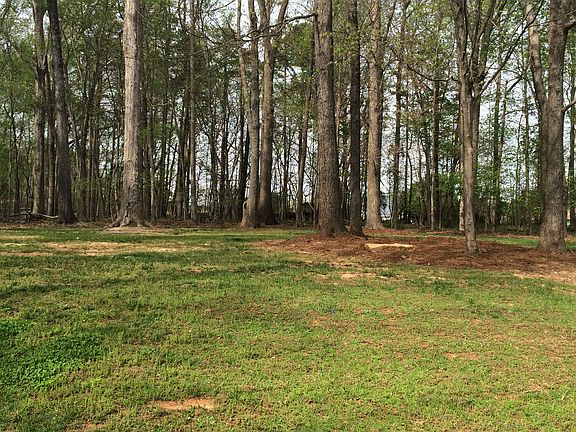 looking out back yard