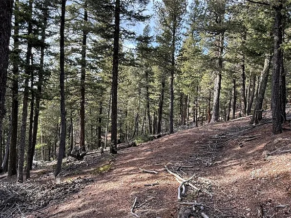 461 Paradiso Road, Divide, CO 80814