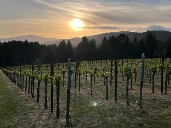 10924 Dyerville Loop Rd, Myers Flat, CA 95554