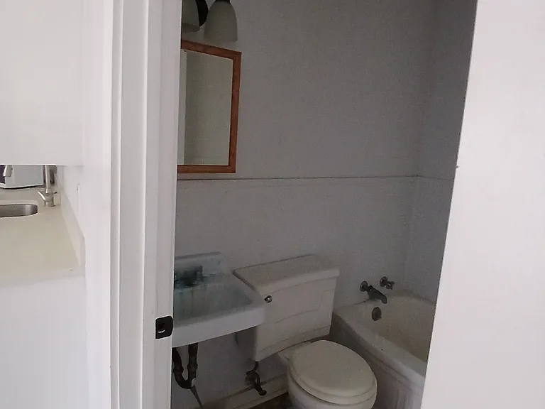 406 Voorhies St #B — Photo 10
