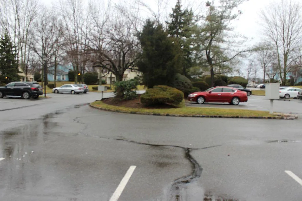 503 Maplecrest Rd — Photo 3