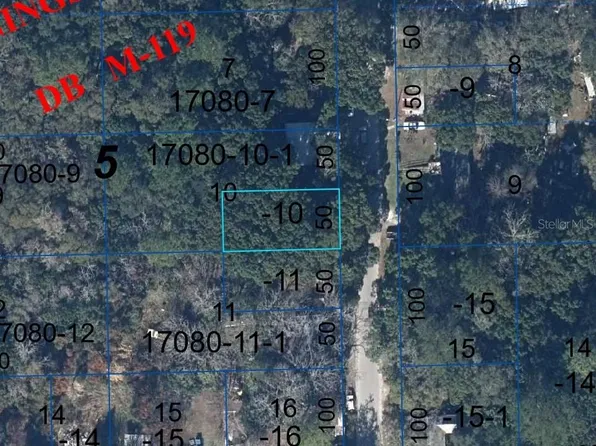 NE 141st St Lot 10, Waldo, FL 32694