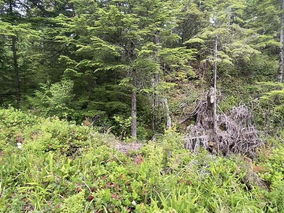 1st image of 12626 N Tongass Hwy