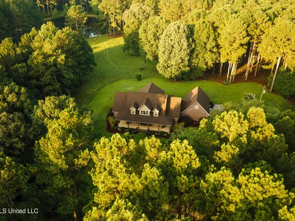 741 County Road 29, Louin, MS 39338