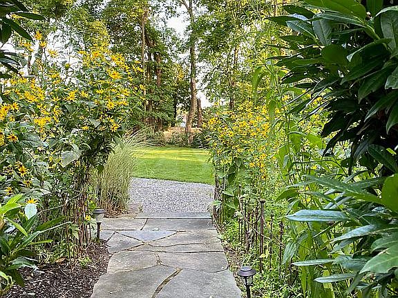 Path to rear yard 