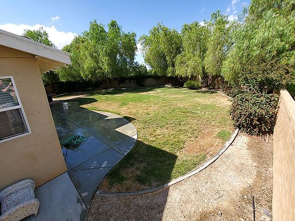 Back Yard and Patio
