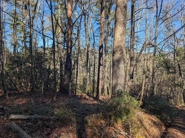 LOT J251 Pine Ridge Ct, Ellijay, GA 30536