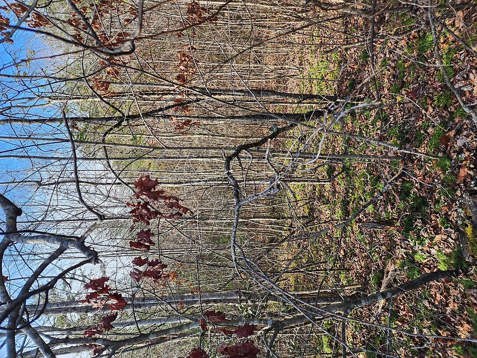 2nd image of 0 Rabbit Ridge Rd