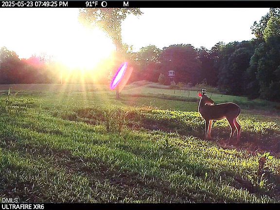 91st image of this home