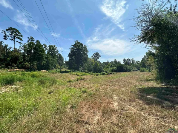 Old Highway 80, Hallsville, TX 75650