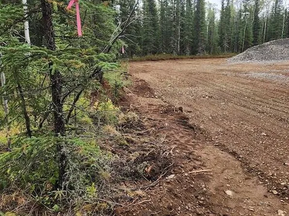 L3-B2 Mushers Way, Tok, AK 99780