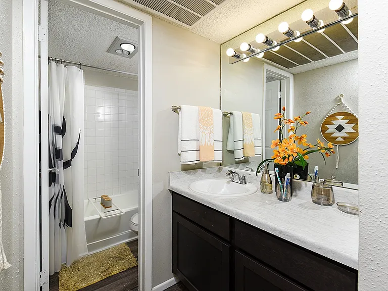 A1 Designer Home Bathroom