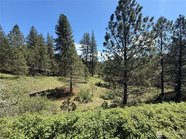 0 TBD Fir Lane, Curlew, WA 99118