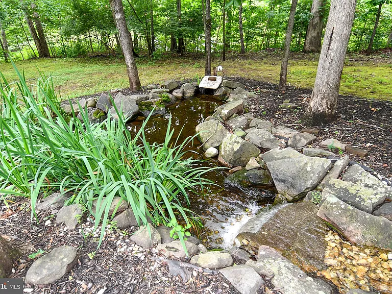 12134 Holly Knoll Cir — Photo 51
