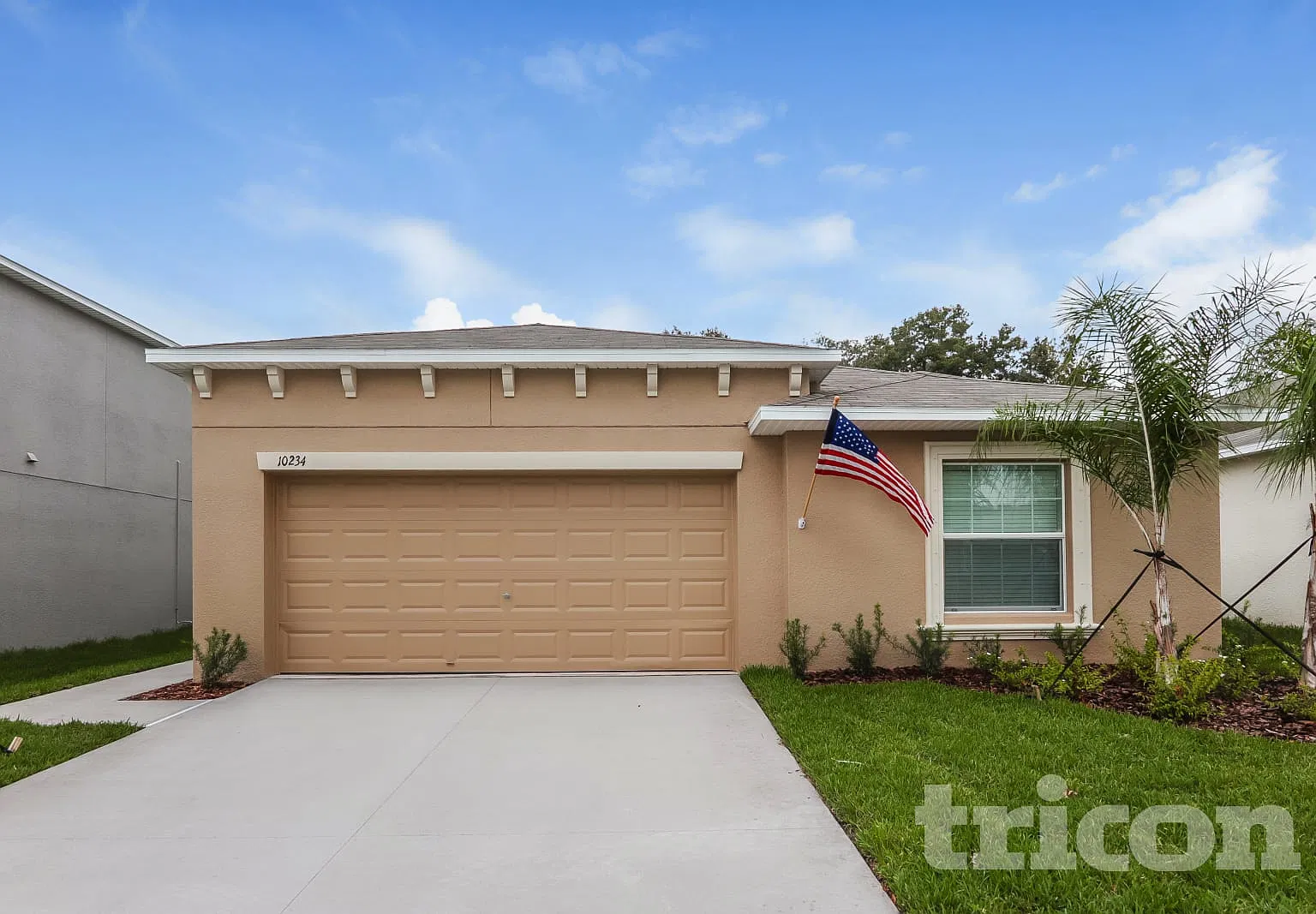 10234 Strawberry Tetra Drive Riverview FL — Photo 1