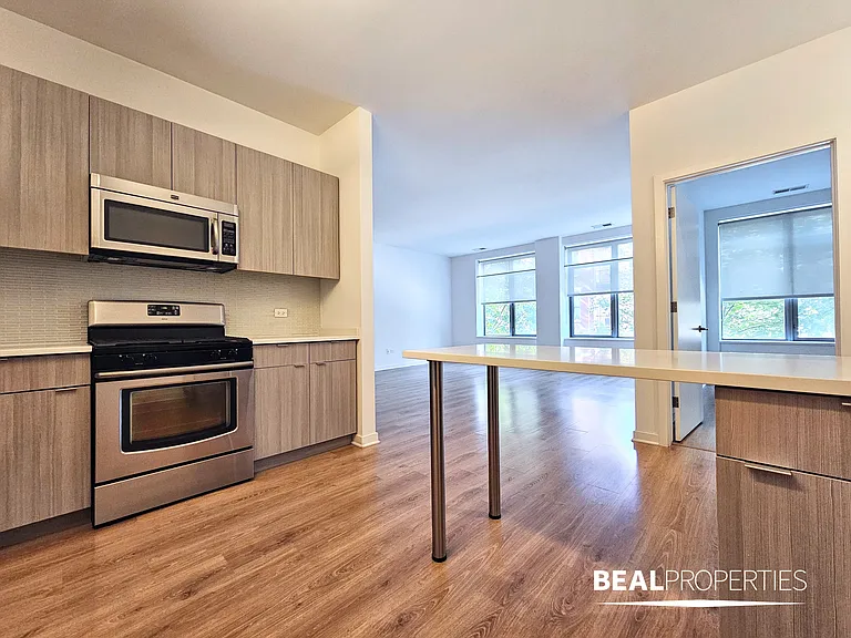 558 W Webster — Photo 54