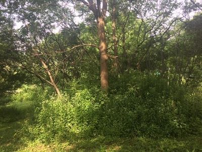 Lot 2 Hwy D, Colfax, WI, 54730