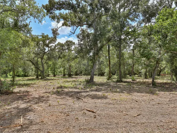 2289 County Road 851, Brazoria, TX 77422