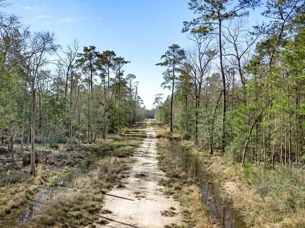 12310 Picos Rd, Saratoga, TX 77585