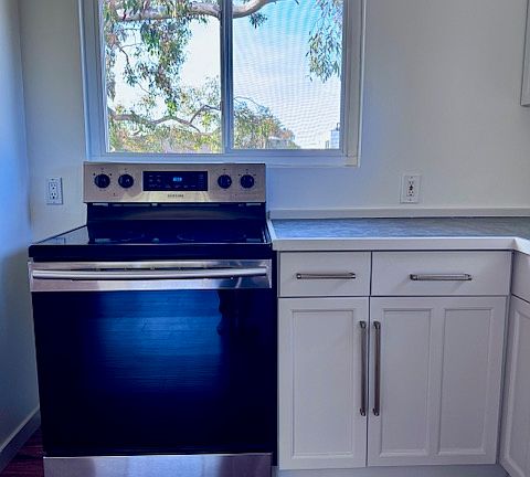 Treetop views from every window