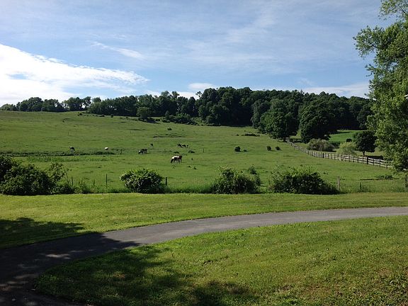 Views from the back of the house.