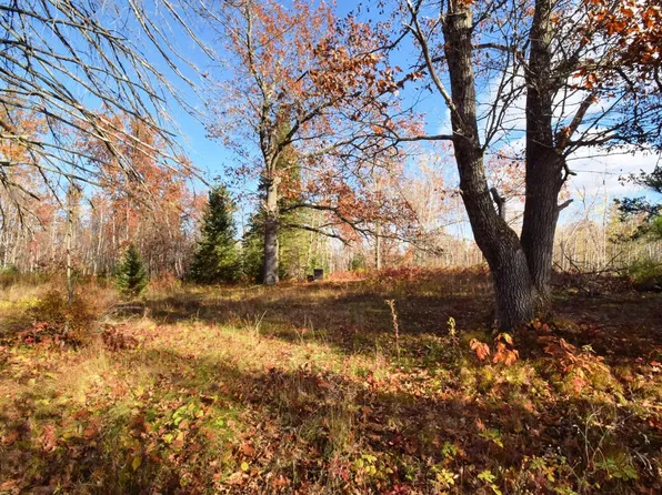 34160 McGraw Lake Rd, Danbury, WI 54830