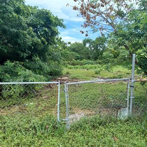 31365 Avenue C, Big Pine Key, FL, 33043