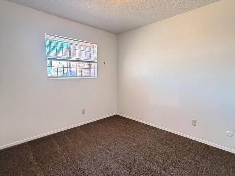 3911 Moonlight Ave — Photo 17