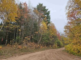 9693 N Blue Rd LOT 171, Nisula, MI 49952