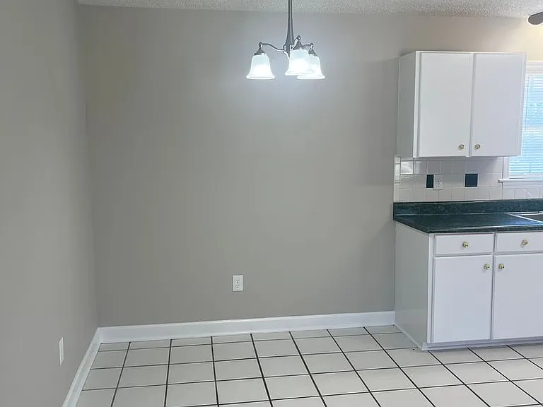 490 Bernice Snow Rd — Photo 2