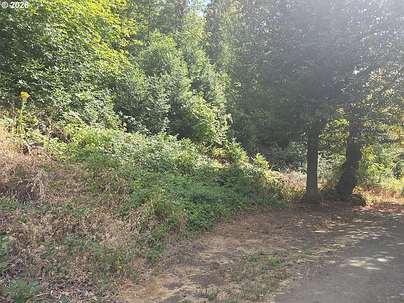 4th image of 1313 Fisher Rd