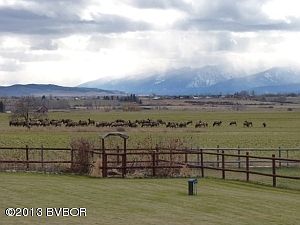 Elk View