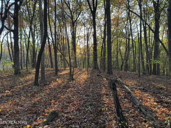 W Laurel Way, Monterey, TN 38574