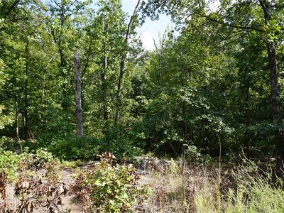 Lambeth Dr #1, Bella Vista, AR, 72714