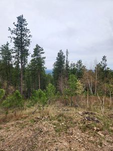 14 Aventure Loop, Lead, SD, 57754