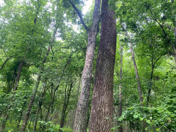 10 Acres Tract County Road 326 #2, Jonesboro, AR 72401